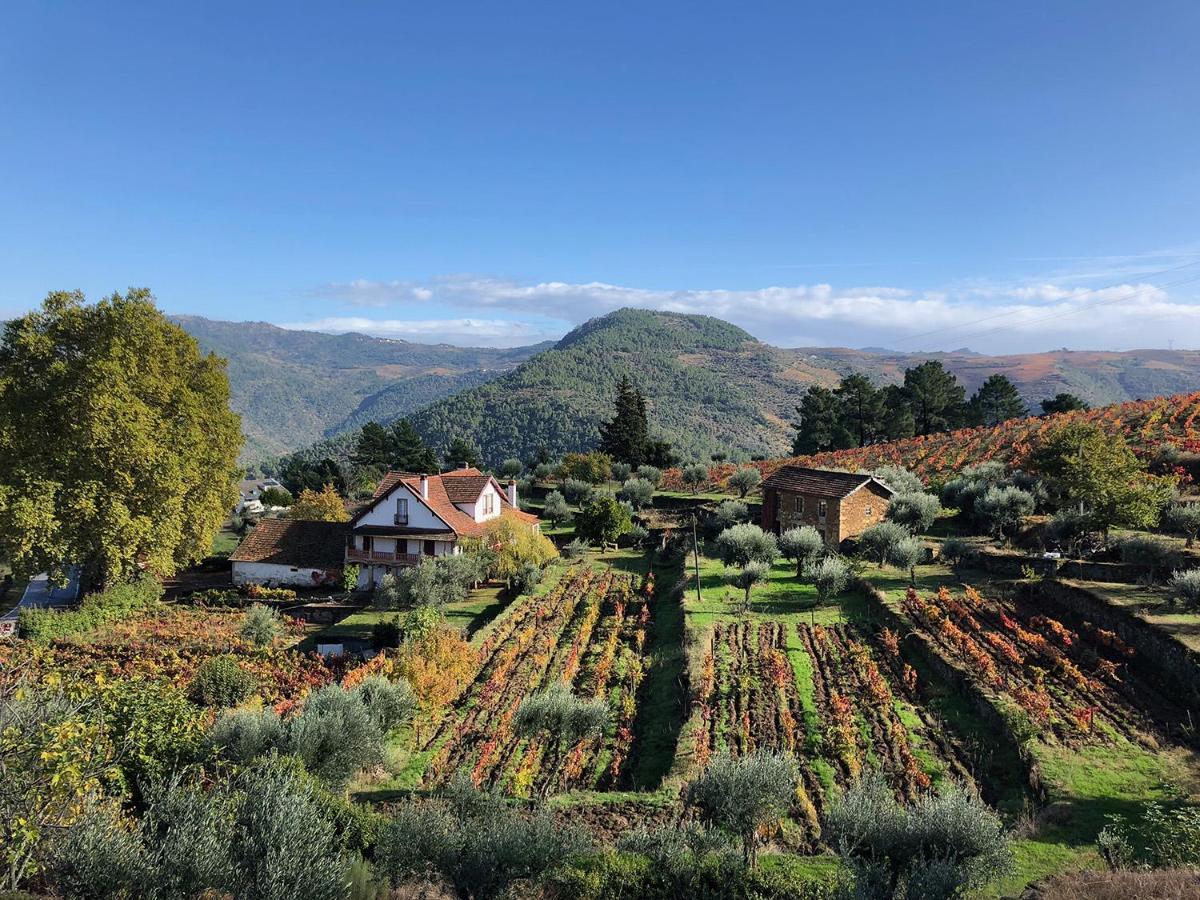Quinta Vila Rachel - Winery Sao Mamede de Ribatua Extérieur photo