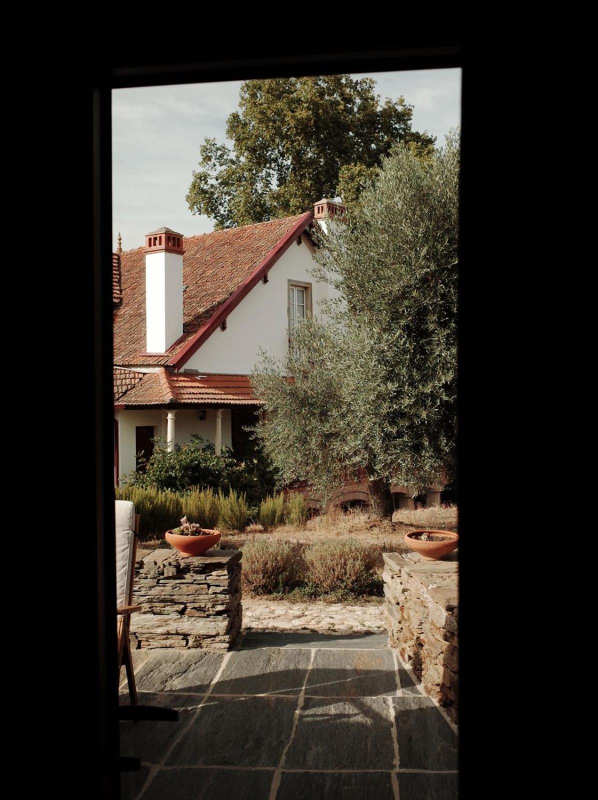 Quinta Vila Rachel - Winery Sao Mamede de Ribatua Extérieur photo